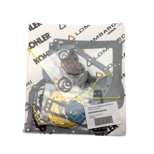 JEU DE JOINTS RUGGERINI RD 270