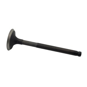 SOUPAPE D'ÉCHAPPEMENT MINSEL RUGGERINI 30x95x7mm