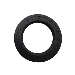 RUGGERINI-HALTER 054A130
