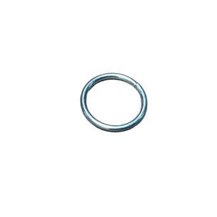 RUGGERINI-HALTER 059R001
