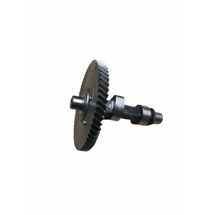 NOCKENWELLE KOHLER CH395