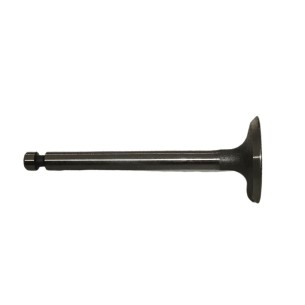 KOHLER CS6 INTAKE VALVE