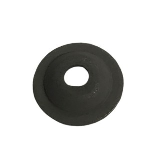 PLAQUE DE SOUPAPE KOHLER CS4, CS6