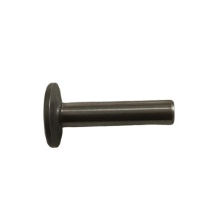 VALVE TAPPET CS4, CS6