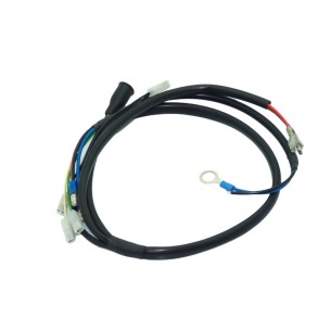 Lombardini ED0021855600-S Câblage