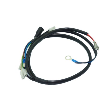Lombardini Cable ED0021855600-S