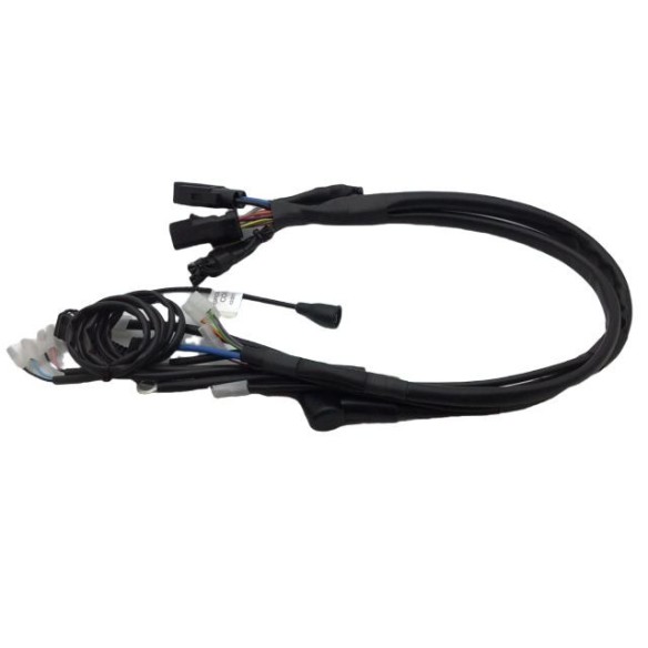 Lombardini ED0021862730-S Verkabelung Lombardini ED0021862730-S Verkabelung