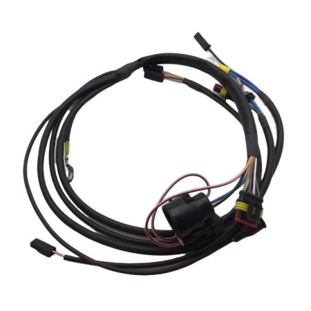 Lombardini Cable ED0021863080-S