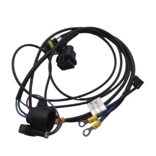 Cableado Lombardini ED0021863520-S