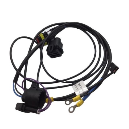 Lombardini Cable ED0021863520-S