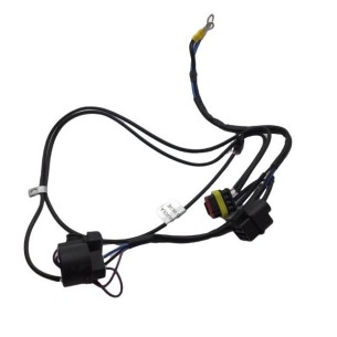 Cableado Lombardini ED0021864190-S