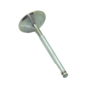 Valvula admision Lombardini 15LD400,15LD440