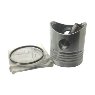 Piston +1,00 Lombardini 12LD475-2