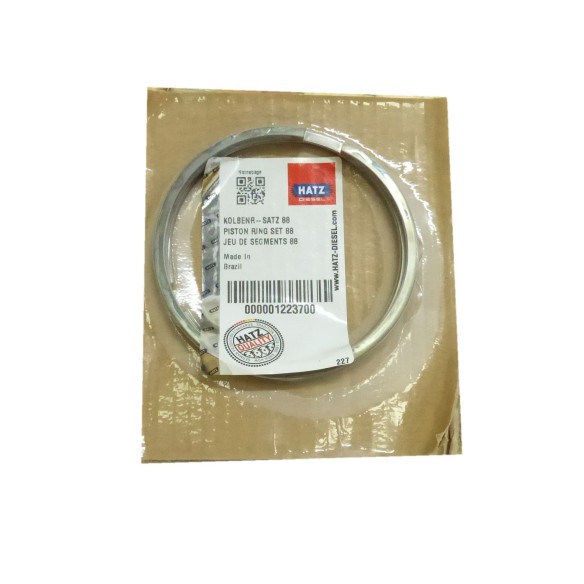 Jeu de segments Hatz std 1D60.26 2G30.17