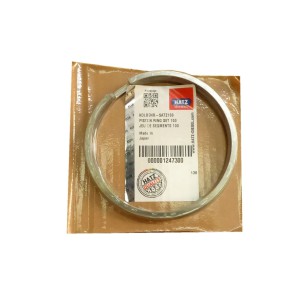 Segment set std Hatz 1D80.24 1D81.19-20-21-24