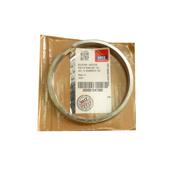 Hatz Standard-Segmentsatz 1D80.24 1D81.19-20-21-24