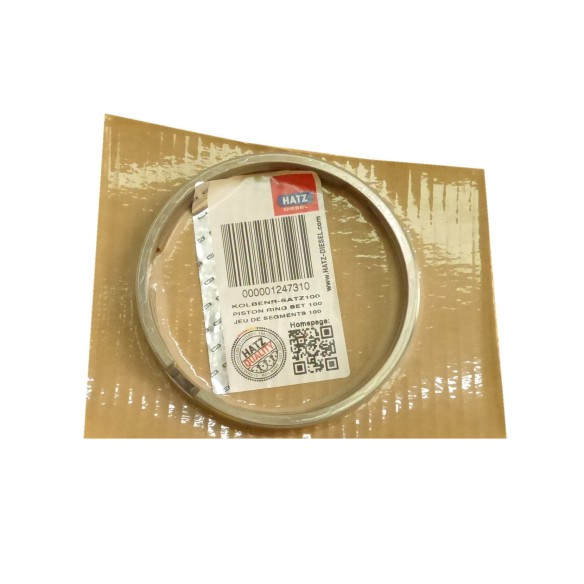 Segmensto game std Hatz 1D81.25