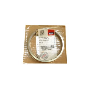 Segments std Hatz 1D30.18 1D31.16 1D40.19