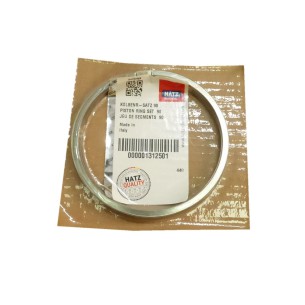 Conjunto de segmento padrão Hatz 1D41.16-18-21 1D42.10