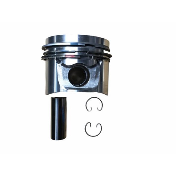 Piston +0.50 Hatz 1D81.19-20-21