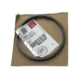 Conjunto de segmento padrão Hatz 1D50.11.13.14.16.17.19