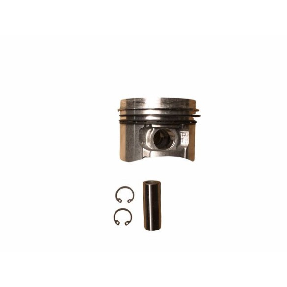 Kolben Standard Hatz 1B20.31