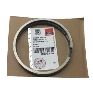 Segment set Hatz l/M 2/3/4 40.19.21.22 / 41.10.12.13