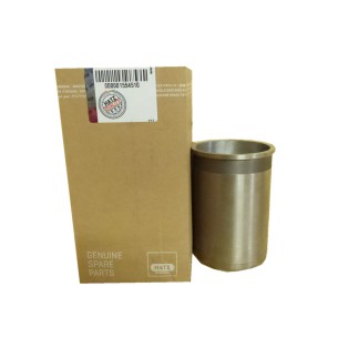 Pistão e cilindro Hatz 1B20.23