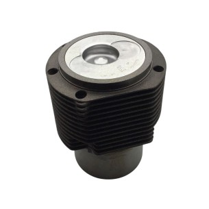 Equipo de motor Hatz l/M 41.13