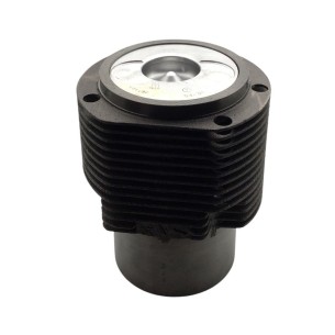 Hatz l/M 42.10 Motorbausatz