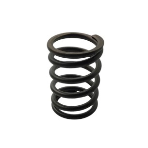 Mola da válvula Hatz 2G