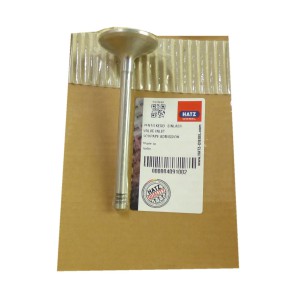 Hatz Einlassventil 1D81, 1D90