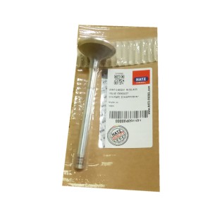 Valve exhaust Hatz 1D81, 1D90