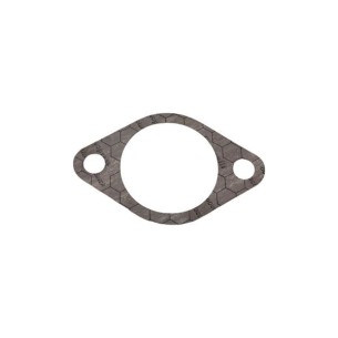 Board pump injection 0.3mm Hatz 1D