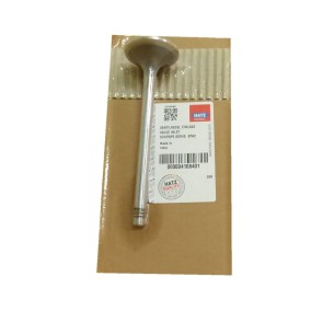 Válvula de admissão Hatz 2M, 3M, 4M, 2L, 3L, 4L