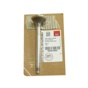 Valvula escape Hatz 2M, 3M, 4M, 2L, 3L, 4L