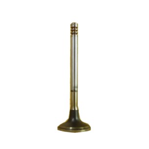Valvula admision Hatz 1D40, 1D50