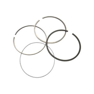 Conjunto de segmentos padrão Yanmar 4TNE106T