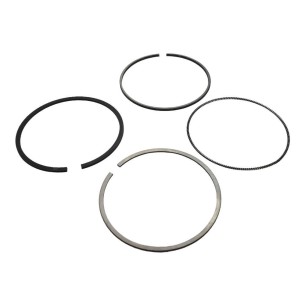 Conjunto de segmentos padrão Yanmar 4TNV94