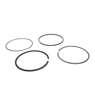 Conjunto de segmentos padrão Yanmar 4TNE94