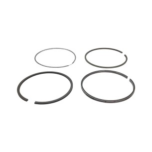 Yanmar 3TNE84 Standard-Segmentsatz