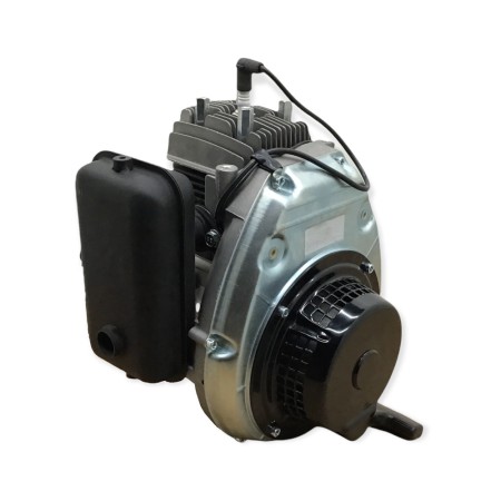MOTOR MINSEL M165 A IZQUIERDAS MOTOAZADA AGRIA