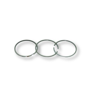Segment set std Lombardini LDW 1003,LDW 1404,LDW 702,LDW 1404/P,LDW 1404/P egr et,LDW_702/P