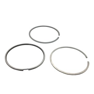 Lombardini Standard-Segmentsatz 5LD930-3,5LD930-4