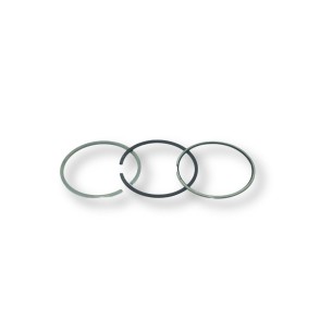 Segment set std Lombardini 15LD350,15LD400