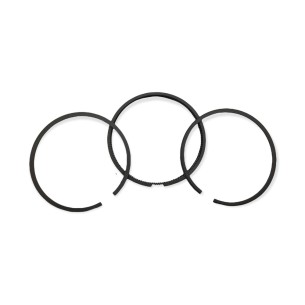 Lombardini-Segmentsatz 1IM350 + 1.00mm