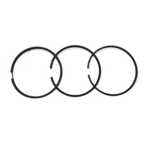Satz mit 3 Ringsegmenten +1,00 Lombardini 3LD450,3LD450/S,3LD510,3LD510/L,3LD510/S