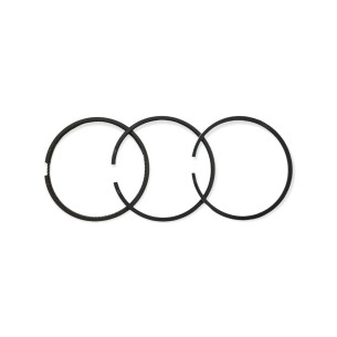 Segments +1.00 Lombardini 6LD325