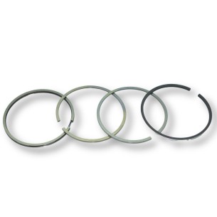 Segment Set of 4 Rings +0.50 Lombardini 4LD705
