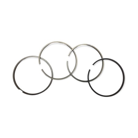 Segment Set of 4 Rings +1.00 Lombardini 4LD705